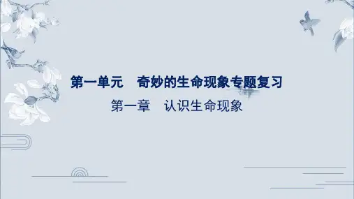 第一单元++奇妙的生命现象++专题复习课件-2023-2024学年济南版生物七年级上册