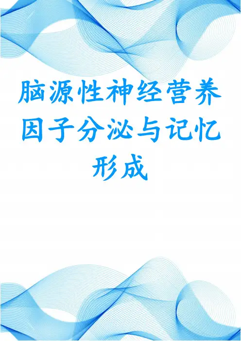 脑源性神经营养因子分泌与记忆形成