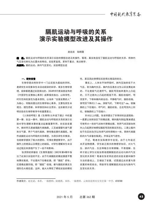 膈肌运动与呼吸的关系演示实验模型改进及其操作