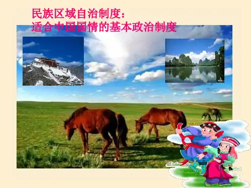 民族区域自治制度