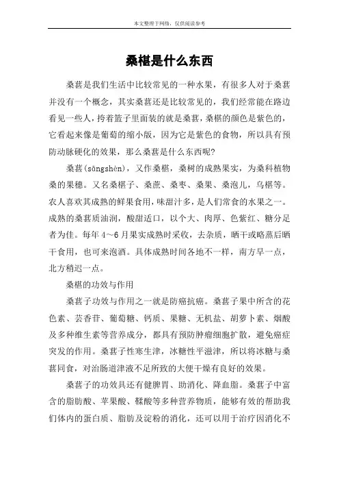 桑椹是什么东西