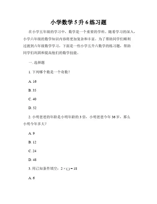 小学数学5升6练习题
