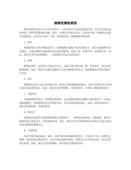 植物发黄的原因