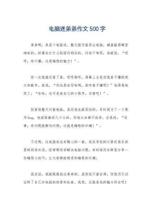 电脑迷弟弟作文500字