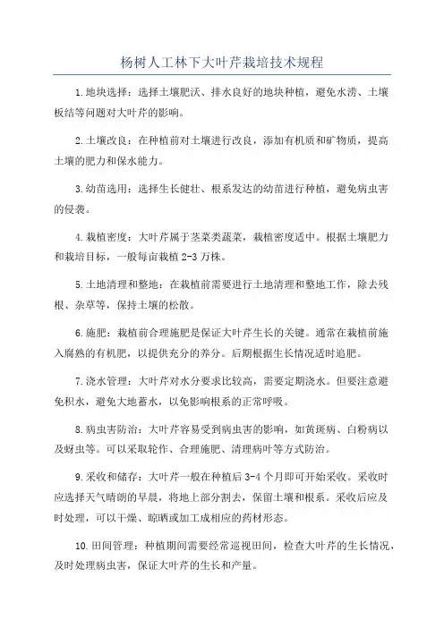 杨树人工林下大叶芹栽培技术规程