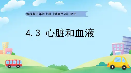 心脏和血液ppt课件