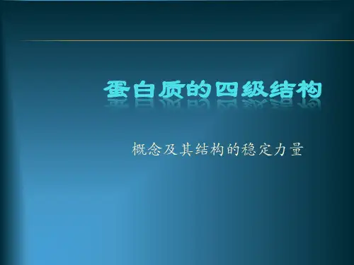 大学生物化学课件 蛋白质的四级结构