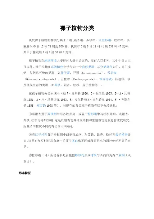 裸子植物分类