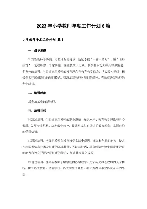 2023年小学教师年度工作计划6篇