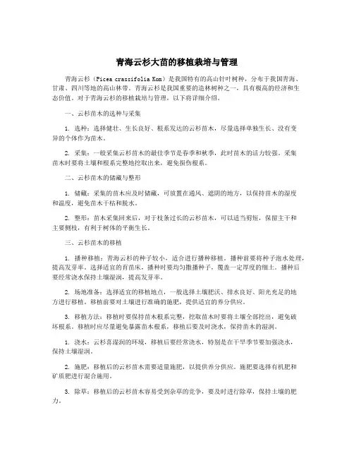 青海云杉大苗的移植栽培与管理