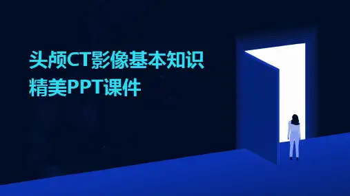 头颅CT影像基本知识精美PPT课件