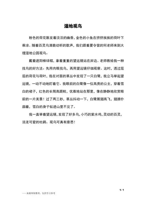 湿地观鸟_二年级作文