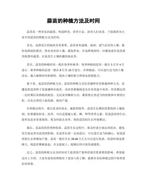 蒜苗的种植方法及时间