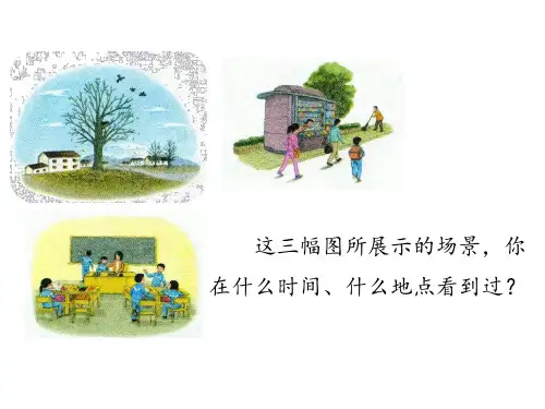 三年级上册习作：第五单元习作《我眼中的缤纷世界》课件(共39张PPT)
