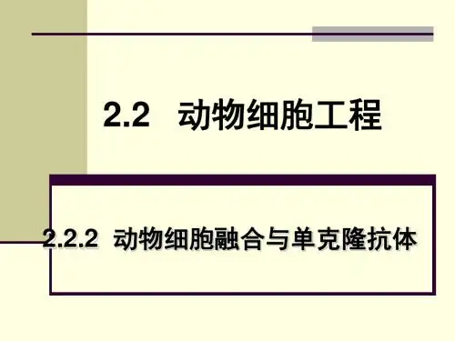 动物细胞融合与单克隆抗体讲课 (2)-PPT精选文档