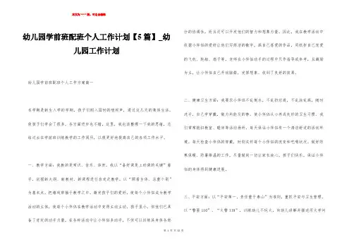 幼儿园学前班配班个人工作计划【5篇】_幼儿园工作计划