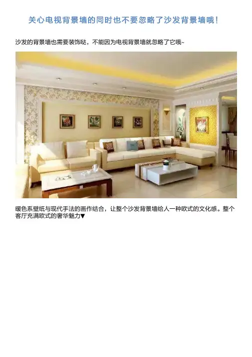关心电视背景墙的同时也不要忽略了沙发背景墙哦!