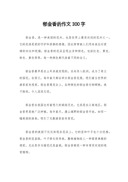郁金香的作文300字