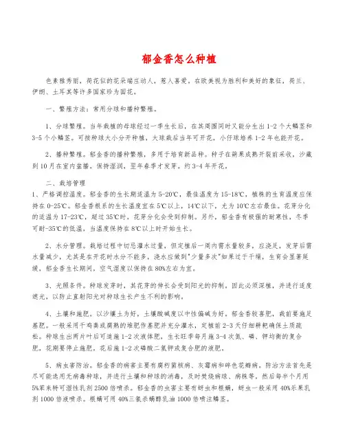 郁金香怎么种植