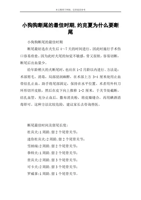 小狗狗断尾的最佳时期,约克夏为什么要断尾