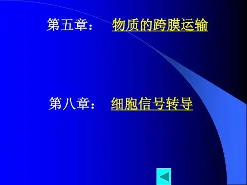 细胞生物学 第五_八章