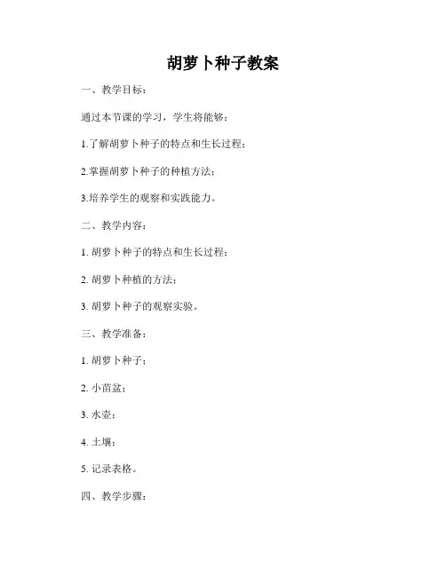 胡萝卜种子教案