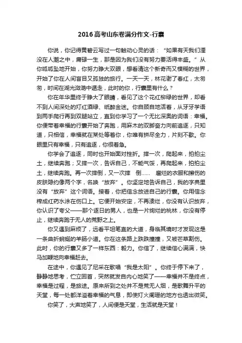 2016高考山东卷满分作文-行囊