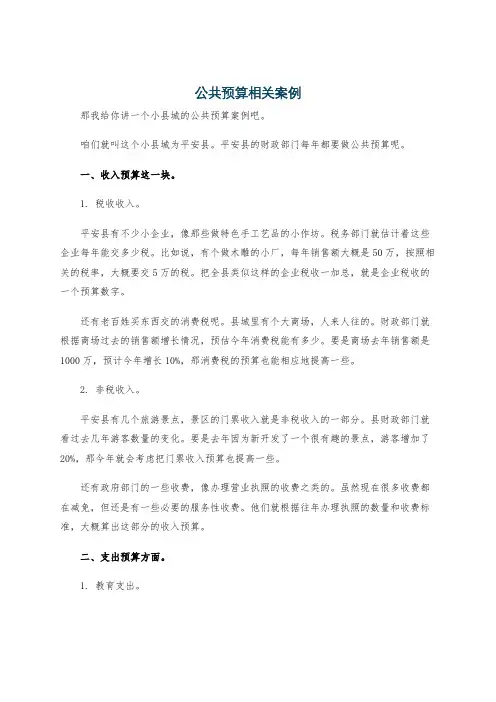 公共预算相关案例