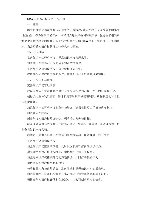 2024年知识产权专员工作计划