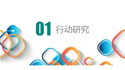 个案研究和行动研究 (2)
