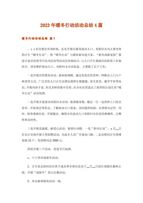 2023年暖冬行动活动总结4篇