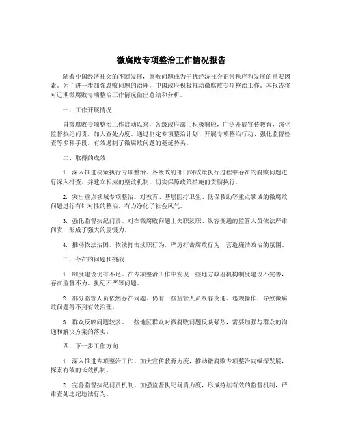 微腐败专项整治工作情况报告