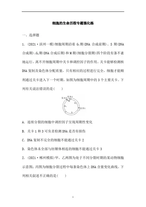 2022届高中生物二轮复习专题强化练：细胞的生命历程 含答案
