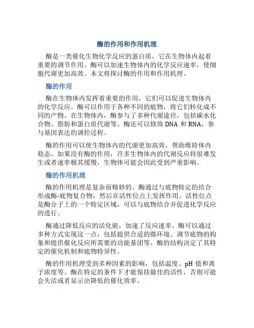 酶的作用和作用机理