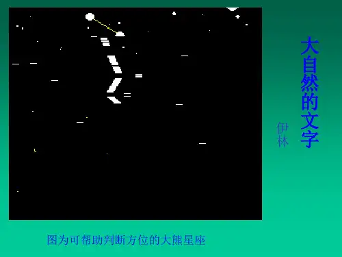 大自然的文字T课件