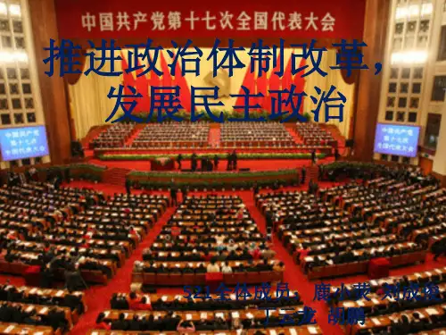 推进政治体制改革,发展民主政治。