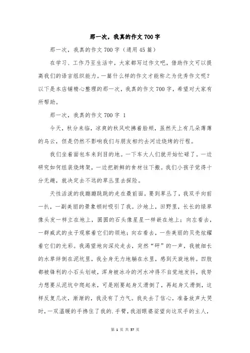 那一次,我真的作文700字