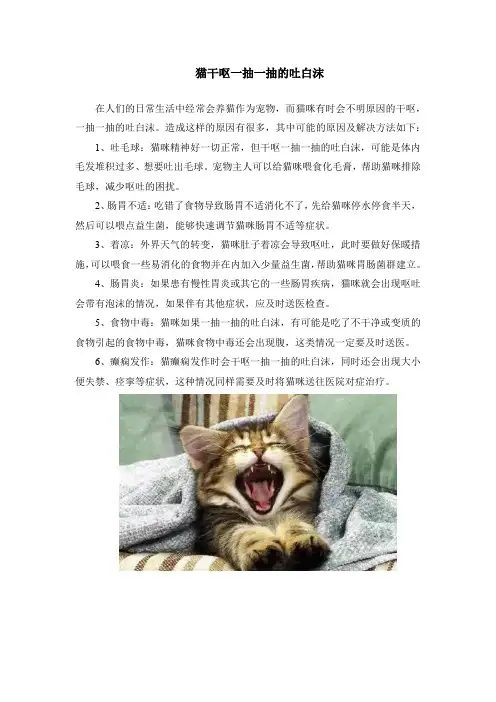 猫干呕一抽一抽的吐白沫