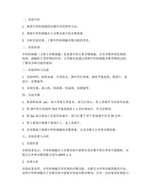 小吞噬实验_实验报告