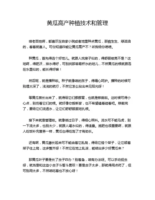 黄瓜高产种植技术和管理
