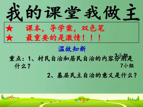 高一政治《2.4民主监督导：守望公共家园》