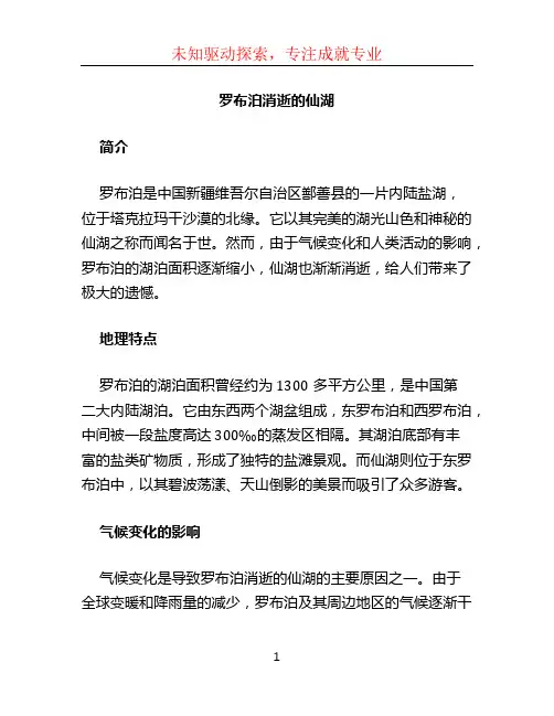 罗布泊消逝的仙湖