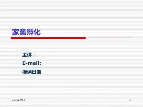 家禽孵化-PPT精选文档