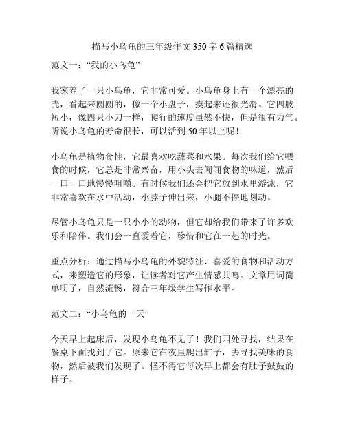 描写小乌龟的三年级作文350字6篇精选