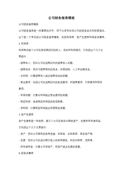 公司财务报表模板