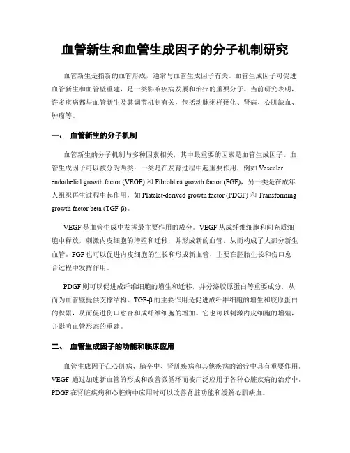 血管新生和血管生成因子的分子机制研究