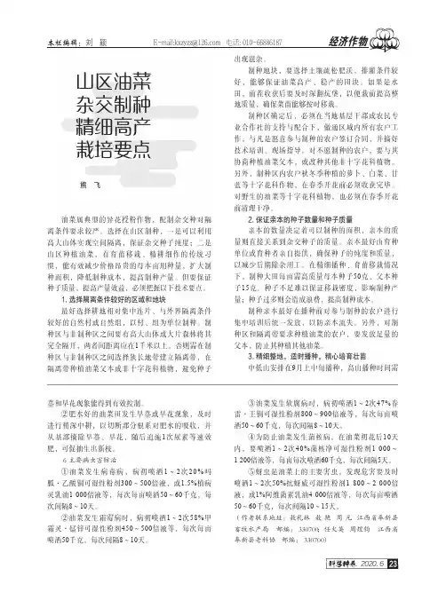 山区油菜杂交制种精细高产栽培要点
