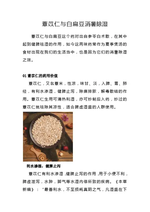 薏苡仁与白扁豆消暑除湿