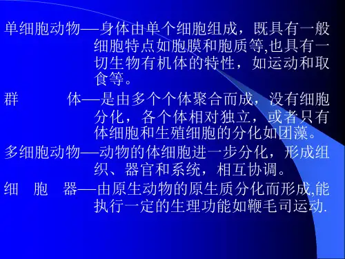 动物学原生动物门
