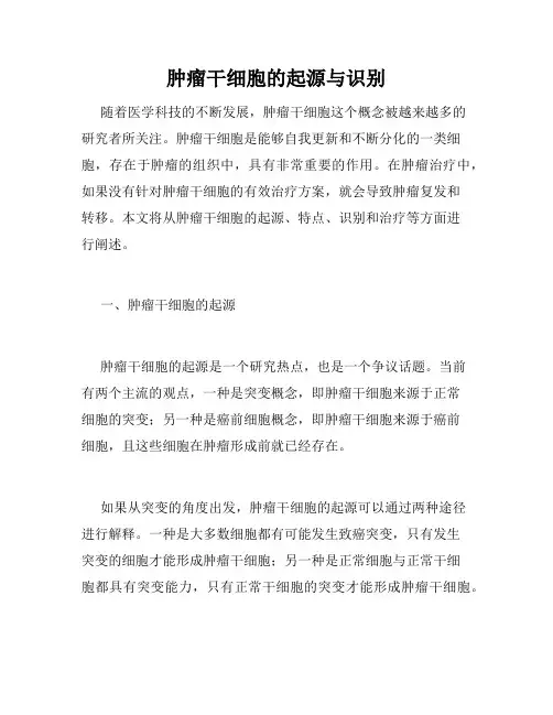 肿瘤干细胞的起源与识别